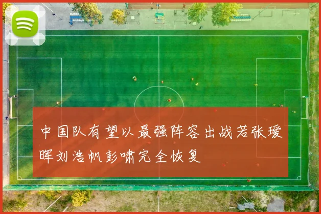 中国队有望以最强阵容出战若张瑷晖刘浩帆彭啸完全恢复