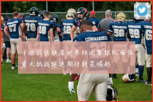 卡尔因伤缺席世界杯比赛球队面临重大挑战球迷期待新星崛起